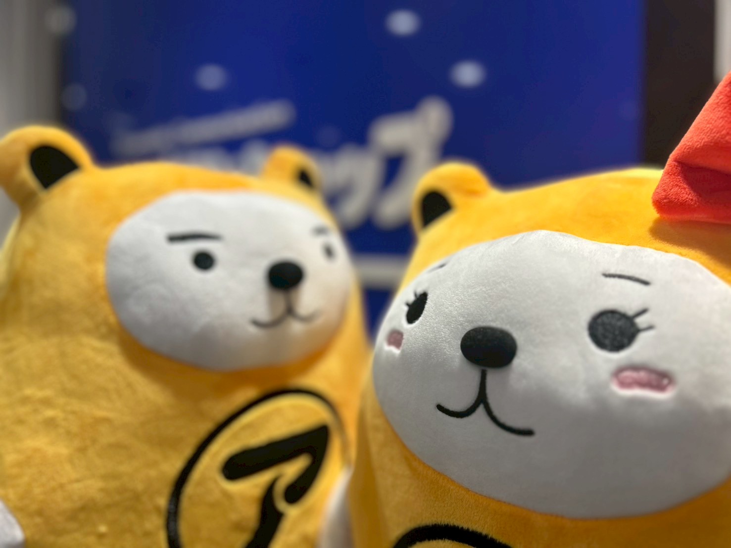 元気で笑顔をモットーにご提案をさせて頂きます！お部屋探しは是非アパマンショップ中野南口店へお任せください！