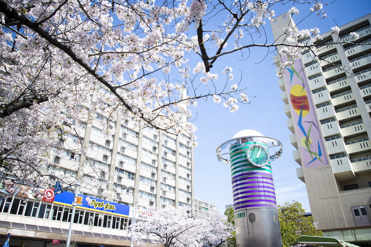 当店は『全国住みたい街ランキング』でも上位のエリアの取扱店です♪