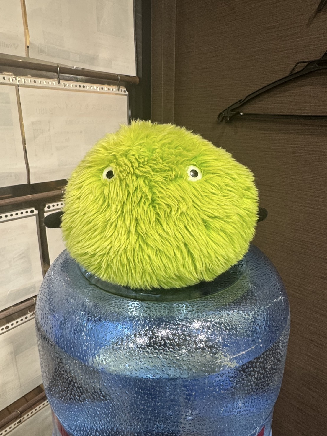 街の”リアル”が伝わる、地域密着のあたたかいご案内。