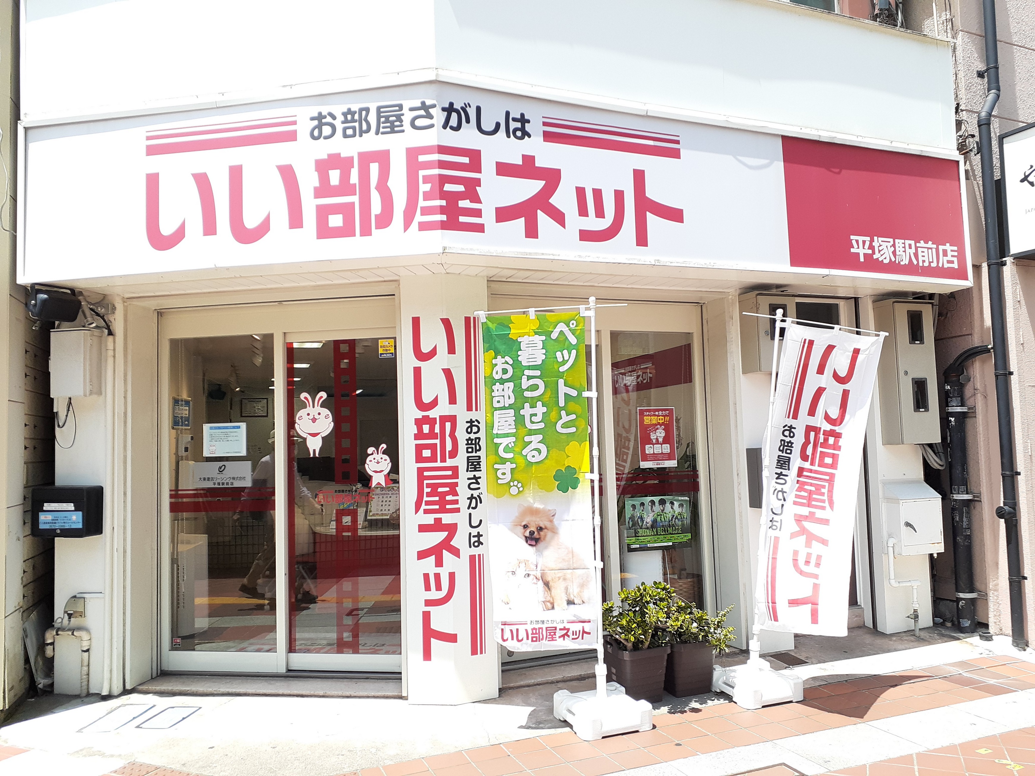 ペット オファー シティ 本厚木 店