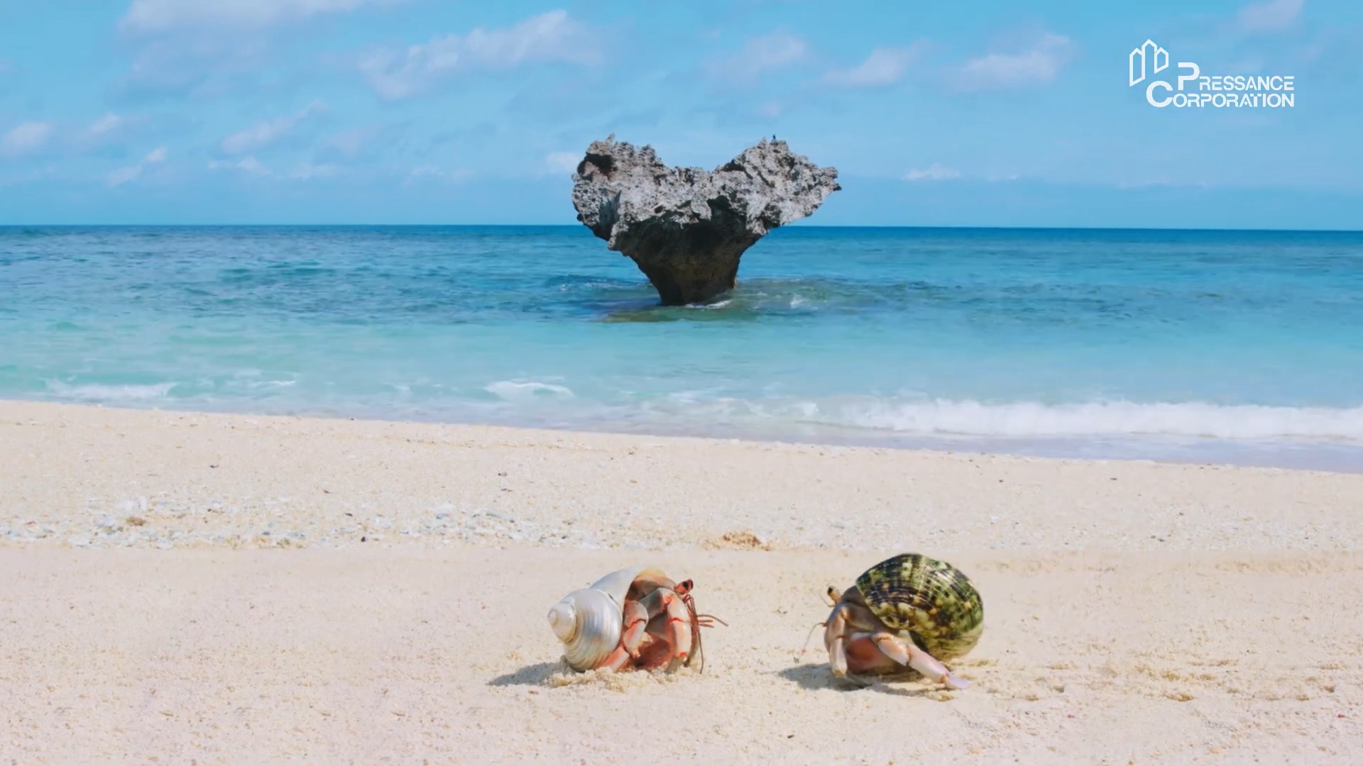 仲介手数料無料で物件紹介をさせていただきます。