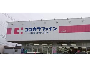 ドラッグストア