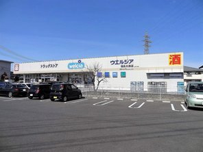 ドラッグストア