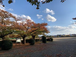 公園