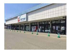 ドラッグストア