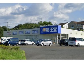 ドラッグストア