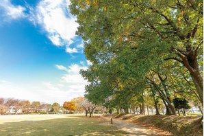 コンフィール守谷本町の周辺環境の特徴画像