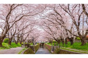 ガーラ・レジデンス桜ヶ丘の周辺環境の特徴画像