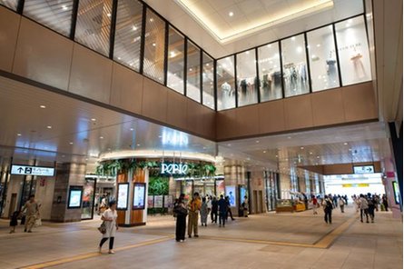 エクセレントシティ千葉松波の取材レポート画像