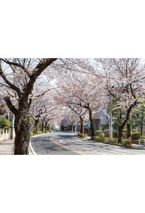 レジデンスコート世田谷桜丘の周辺環境の特徴画像