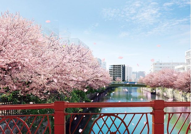 プラウド横浜阪東橋の建物の特徴画像