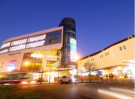 多摩川シーズンズの取材レポート画像