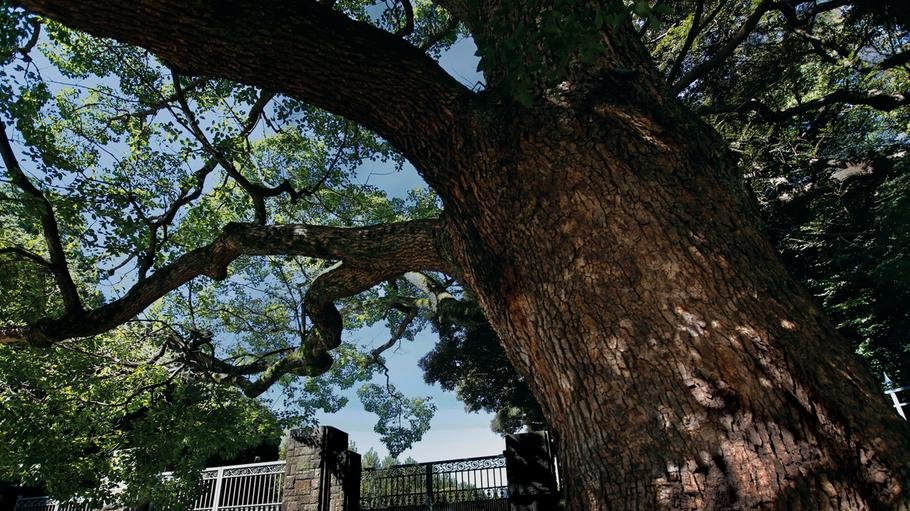 クラッシィタワー新宿御苑の取材レポート画像