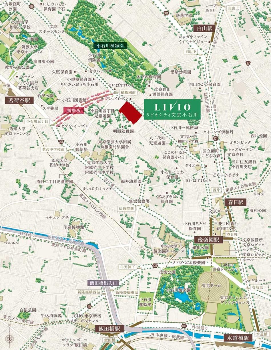 リビオシティ文京小石川の現地案内図