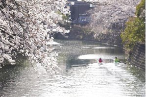 リストレジデンス横濱弘明寺の周辺環境の特徴画像