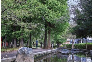 シティタワー綾瀬の周辺環境の特徴画像