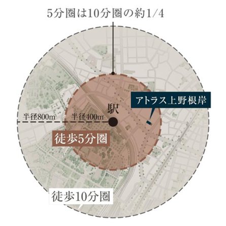 アトラス上野根岸の取材レポート画像