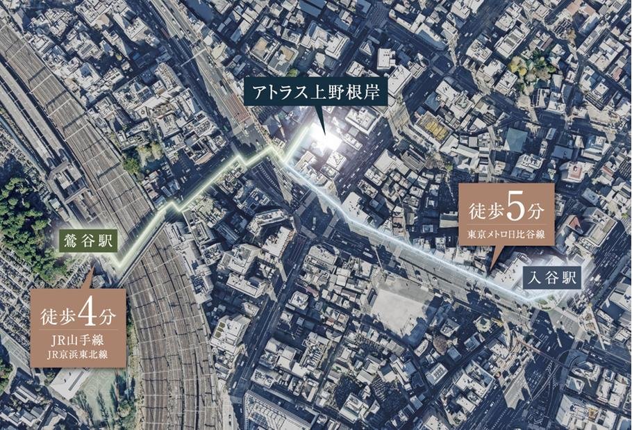 アトラス上野根岸の取材レポート画像