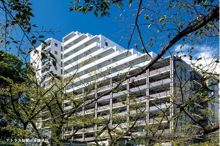 アトラス上野根岸の取材レポート画像