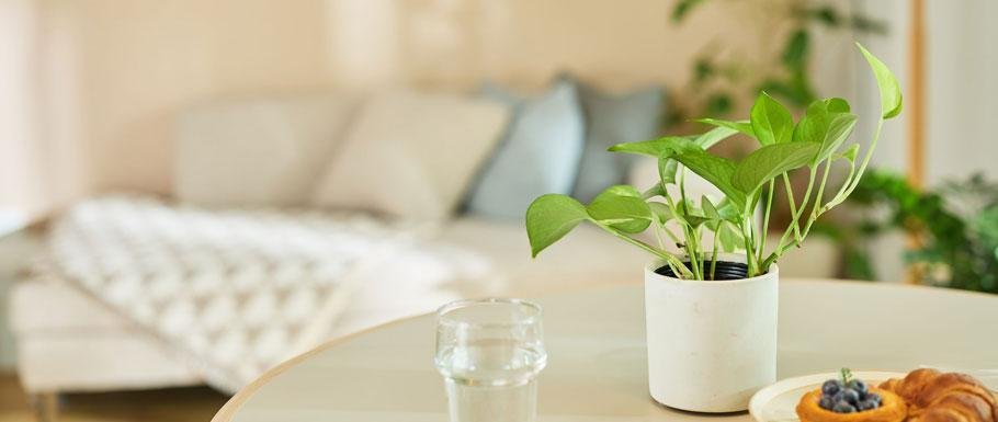 イニシア調布ステーションサイトの取材レポート画像