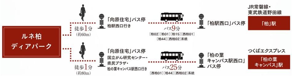 ルネ柏ディアパークの交通アクセス図