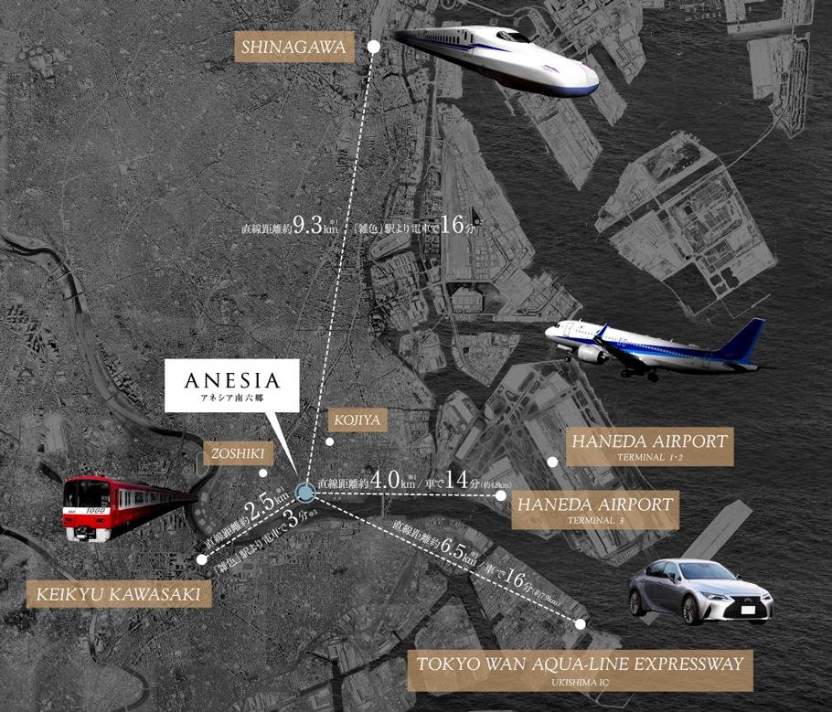アネシア南六郷の取材レポート画像