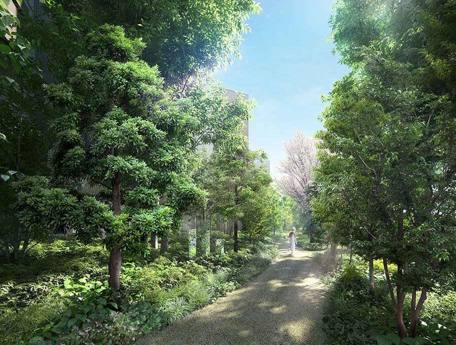 パークコート麻布十番東京 ザ タワー ノース／ザ タワー サウスの取材レポート画像