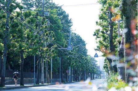 西千葉レジデンス アベニューの取材レポート画像