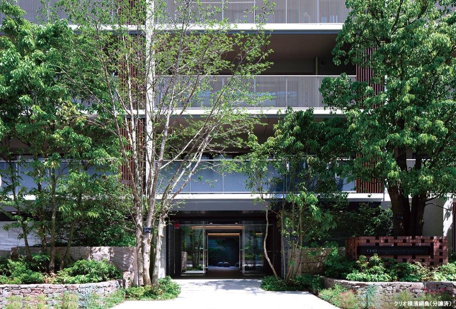 クリオ練馬ブライトマークスの取材レポート画像