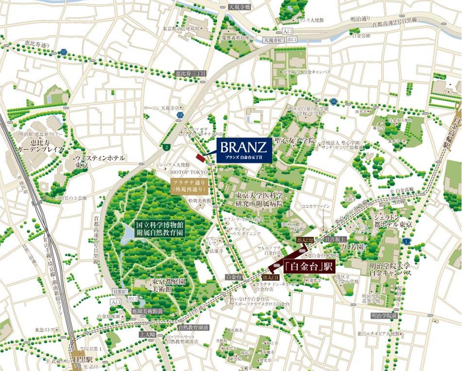 ブランズ白金台五丁目の現地案内図
