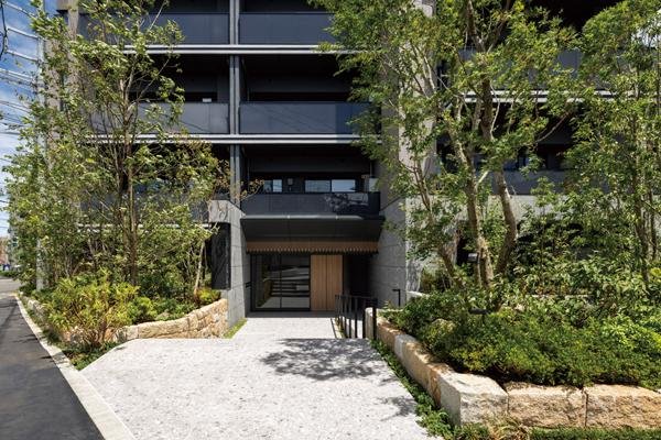 グランドメゾン杉並永福町の取材レポート画像