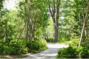 プラウドシティ豊田多摩平の森の取材レポート画像