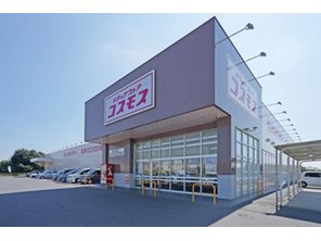 ドラッグストア