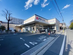 ドラッグストア