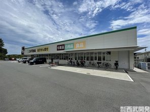 ドラッグストア