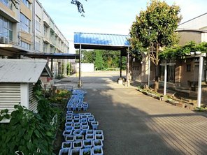 小学校