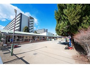 幼稚園・保育園