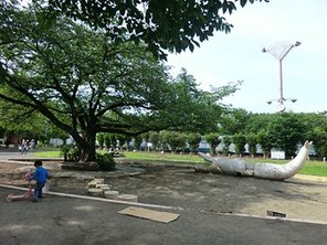 公園