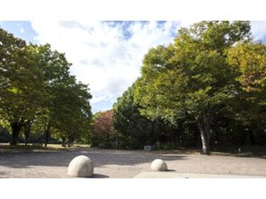 公園