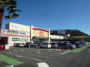 ドラッグストア