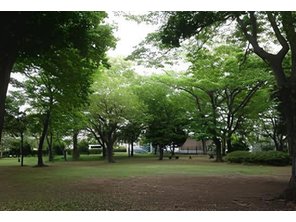 公園
