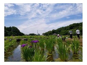公園