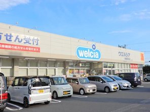 ドラッグストア