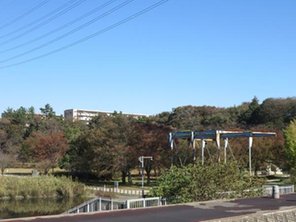 公園