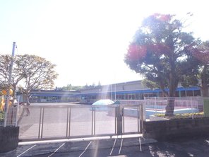 幼稚園・保育園