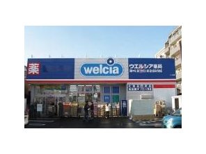 ドラッグストア