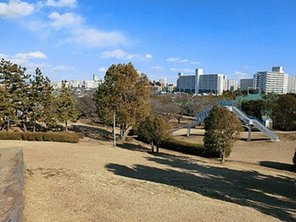 公園
