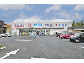 ドラッグストア