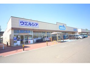 ドラッグストア