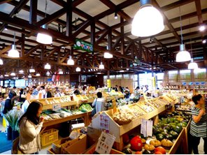 その他環境写真